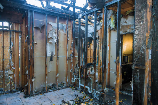 Professional Structural Rebuild technician working in Woodville, WI